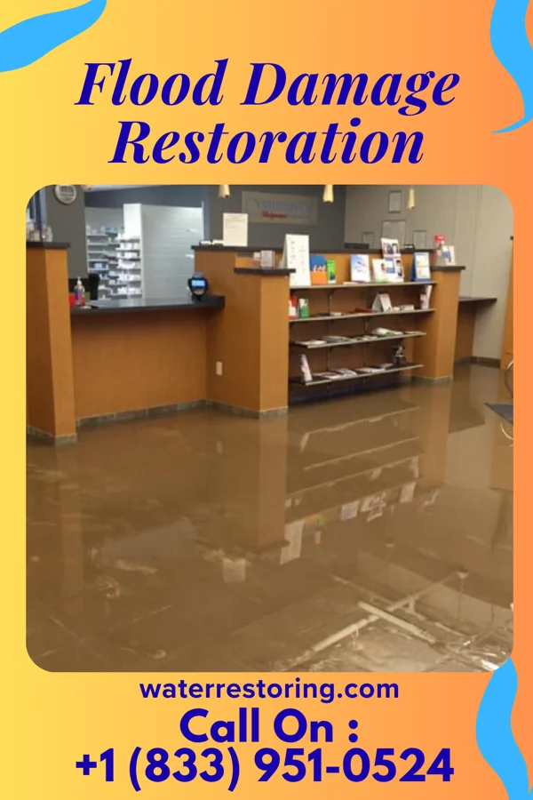 Flood Damage Restoration in Lely, FL