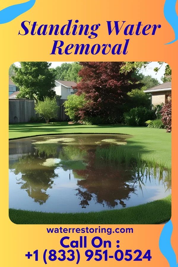 Standing Water Removal in Lely, FL